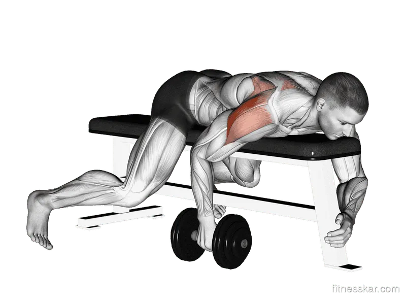 Dumbbell Lying One-Arm Rear Lateral Raise, Male demonstration, Start