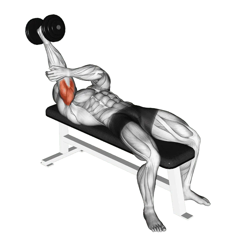 Dumbbell Lying One-Arm Supinated Triceps Extension