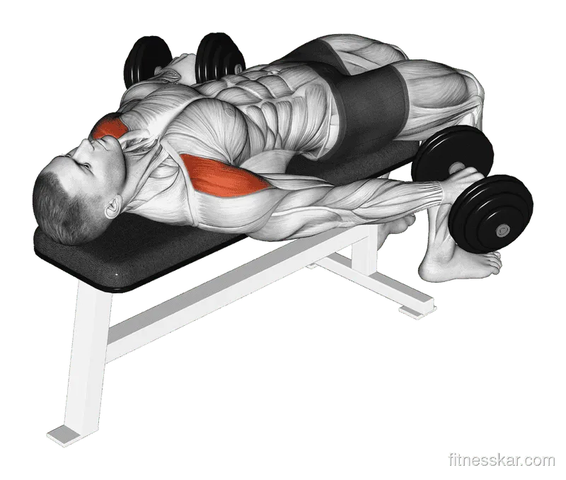 Dumbbell Lying Pronated Grip Maltese Hold (Isometric)