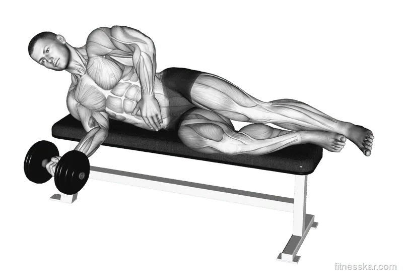 Dumbbell Lying Pronation