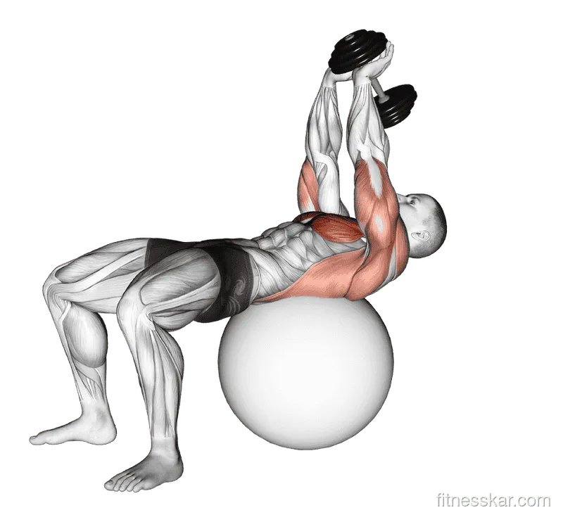 Dumbbell Lying Pullover on Exercise Ball