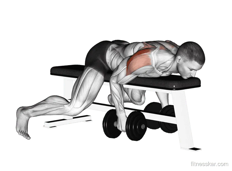 Dumbbell Lying Rear Lateral Raise, Male demonstration, Start