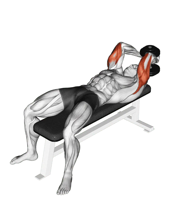 Dumbbell Lying Single Extension, Male demonstration, Start