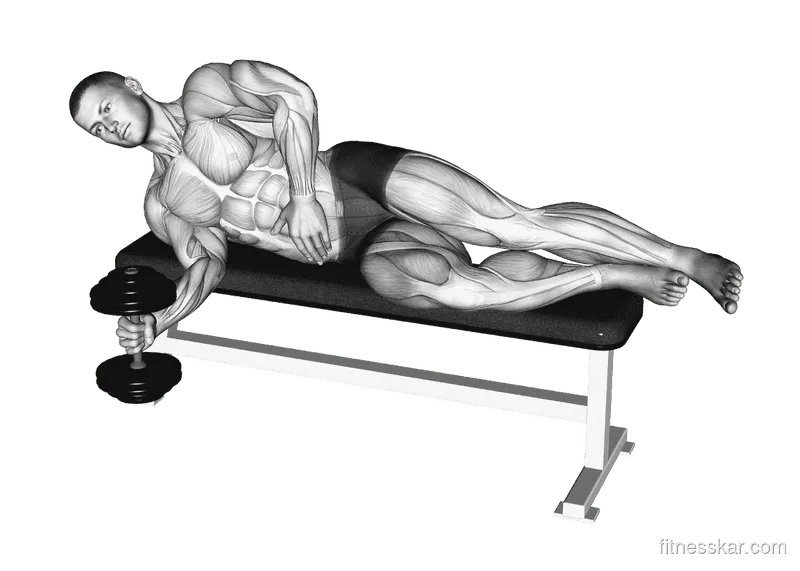 Dumbbell Lying Supination