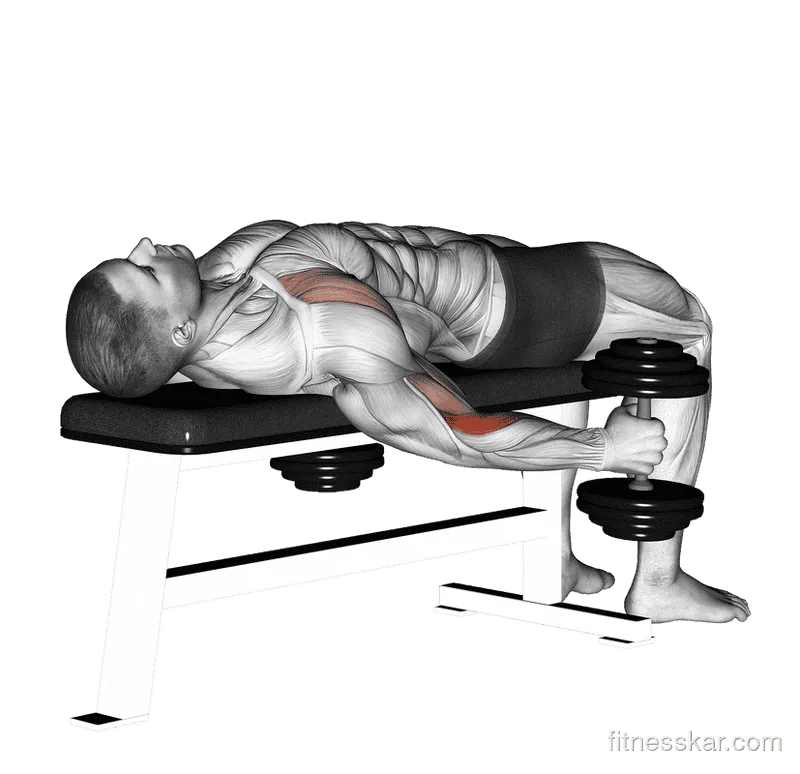 Dumbbell Lying Supine Curl
