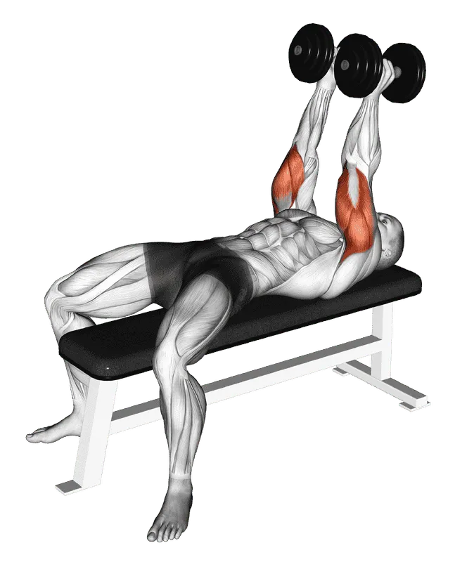 Dumbbell Neutral Grip Bench Press