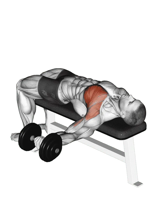 Dumbbell One-Arm Bench Fly, Male demonstration, Start