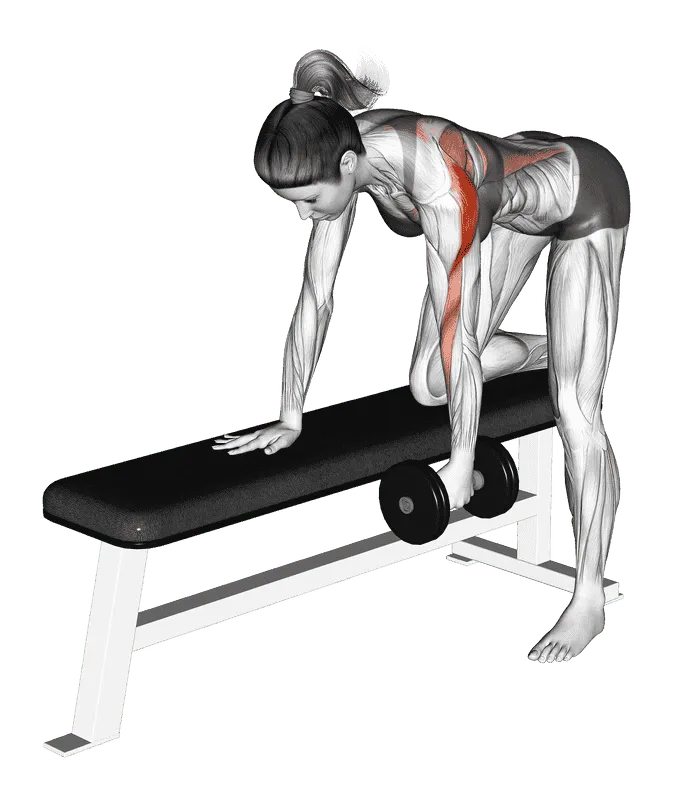 Dumbbell One-Arm Bent-Over Row