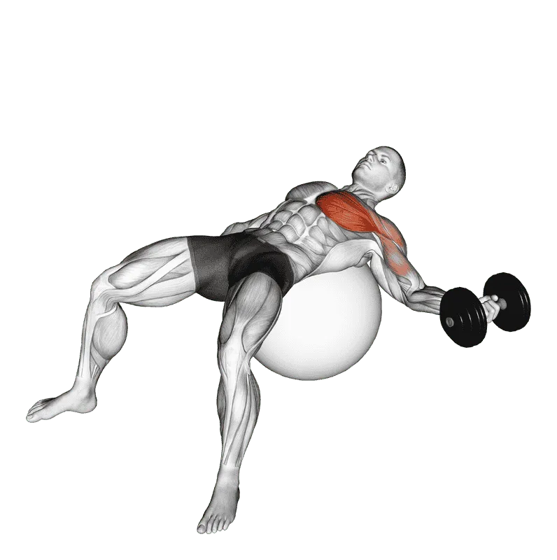 Dumbbell One-Arm Chest Fly on Exercise Ball