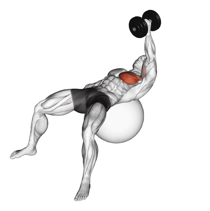 Dumbbell One-Arm Fly on Exercise Ball, Male demonstration, Start