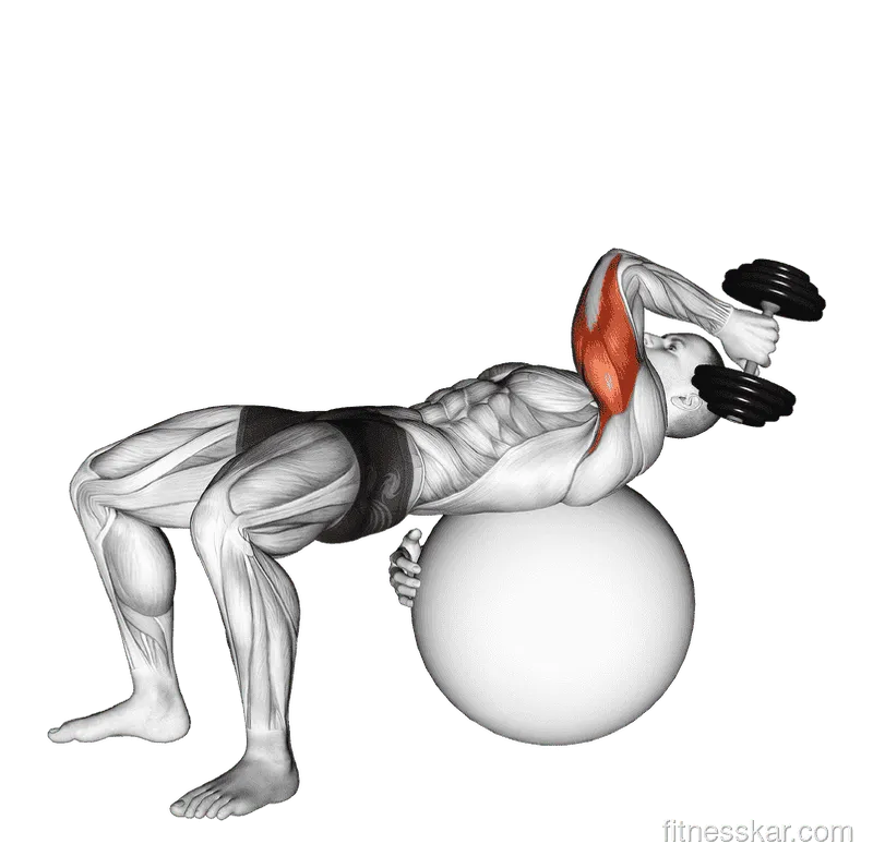 Dumbbell One-Arm French Press on Exercise Ball