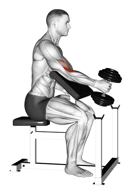 Dumbbell One-Arm Hammer Preacher Curl