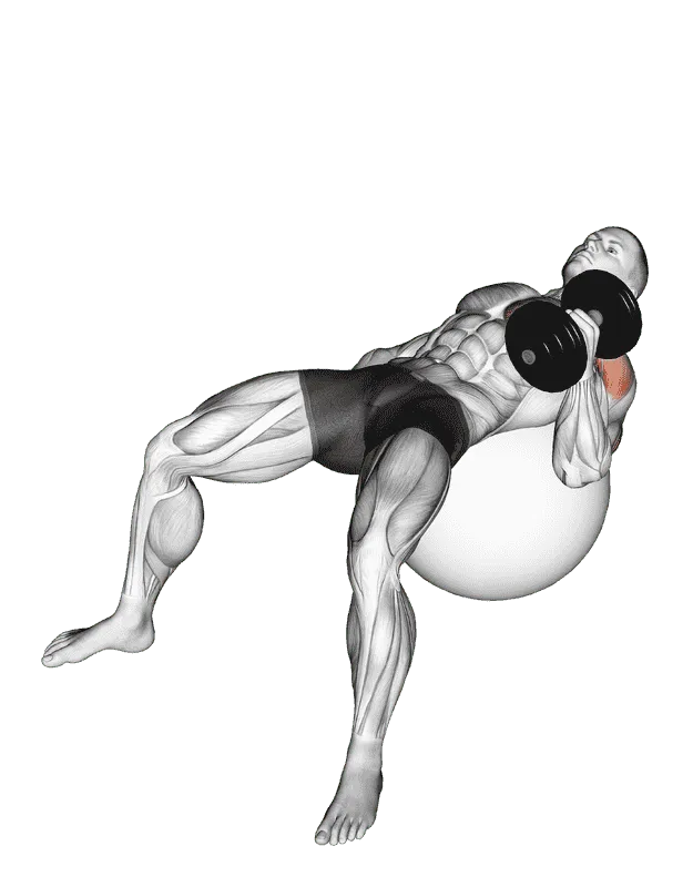 Dumbbell One-Arm Hammer Press on Exercise Ball