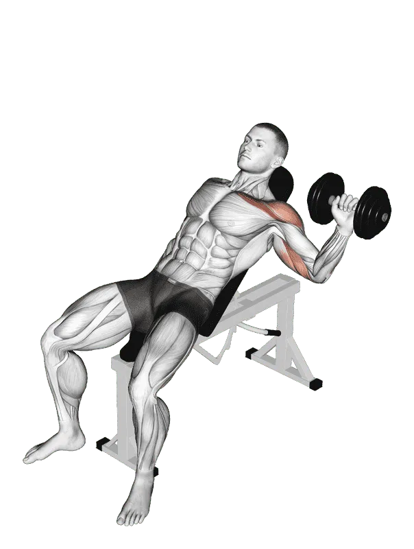 Dumbbell One-Arm Incline Chest Press