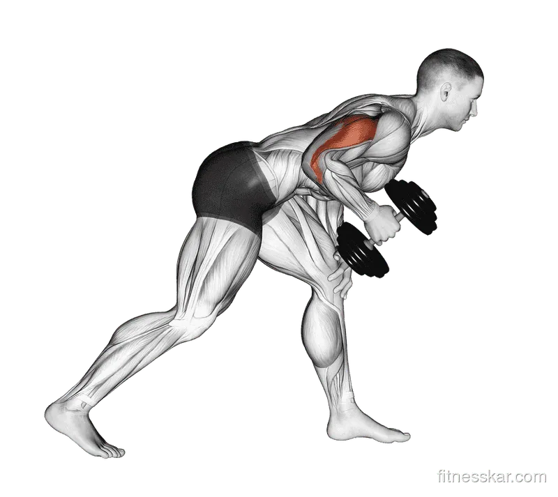 Dumbbell One-Arm Kickback