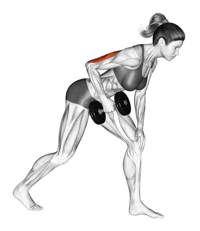 Dumbbell One-Arm Kickback, Female demonstration, Start