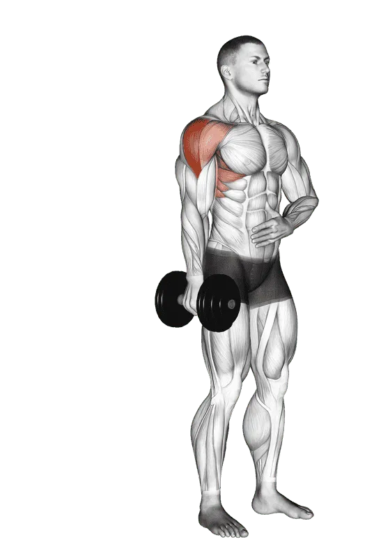 Dumbbell One-Arm Lateral Raise