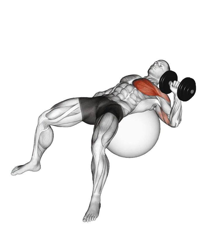 Dumbbell One-Arm Press on Exercise Ball