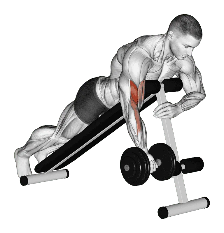 Dumbbell One-Arm Prone Curl