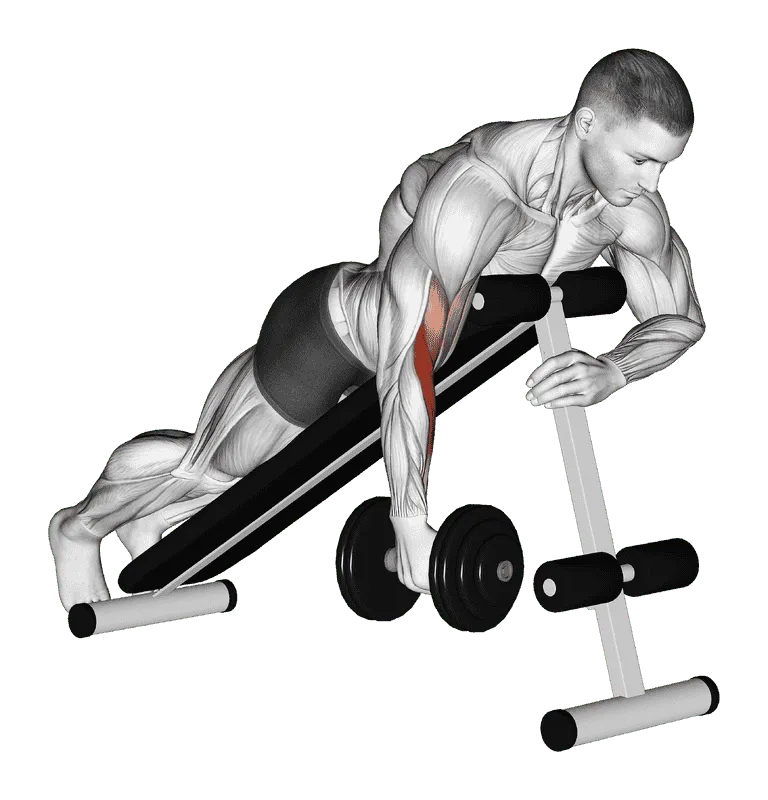 Dumbbell One-Arm Prone Hammer Curl