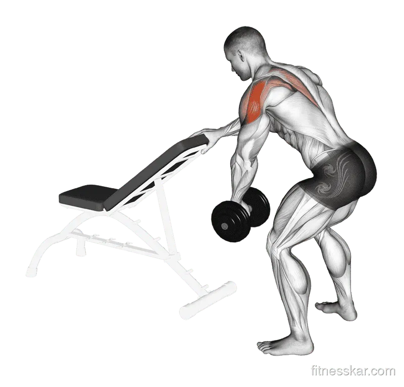 Dumbbell One-Arm Reverse Fly (with support), Male demonstration, Start