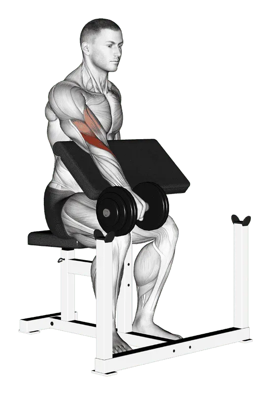 Dumbbell One-Arm Reverse Preacher Curl