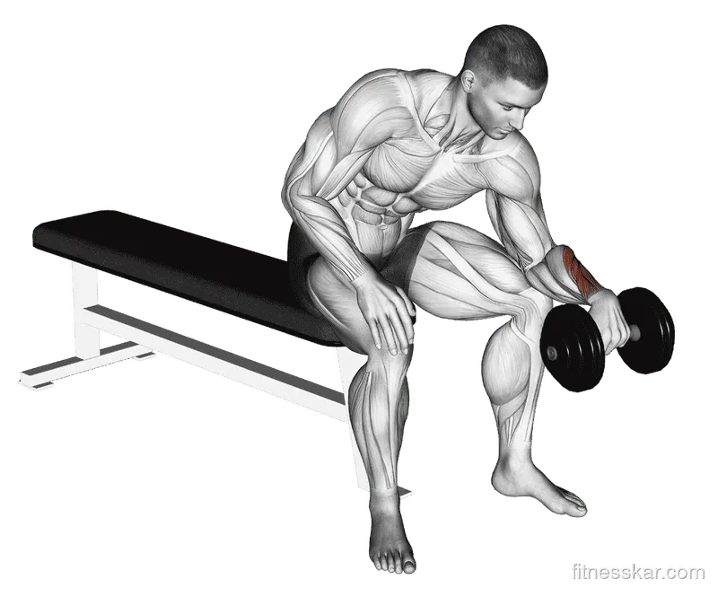Dumbbell One-Arm Reverse Wrist Curl