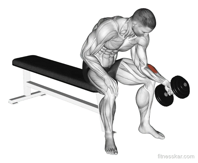 Dumbbell One-Arm Seated Neutral Wrist Curl, Male demonstration, Start