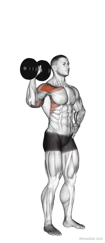 Dumbbell One-Arm Shoulder Press, Male demonstration, Start