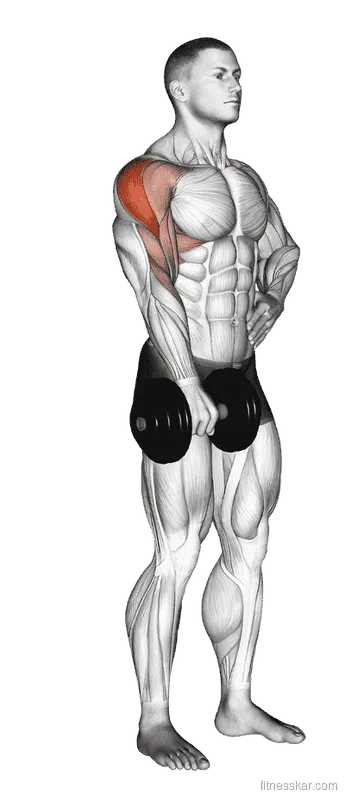 Dumbbell One-Arm Upright Row