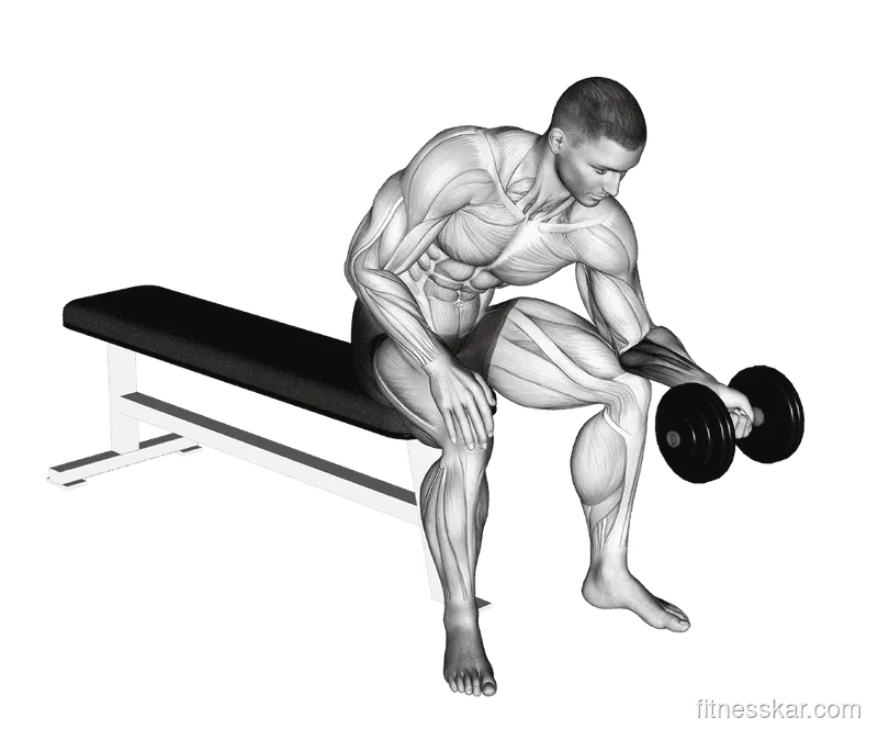 Dumbbell One-Arm Wrist Curl, Male demonstration, Start