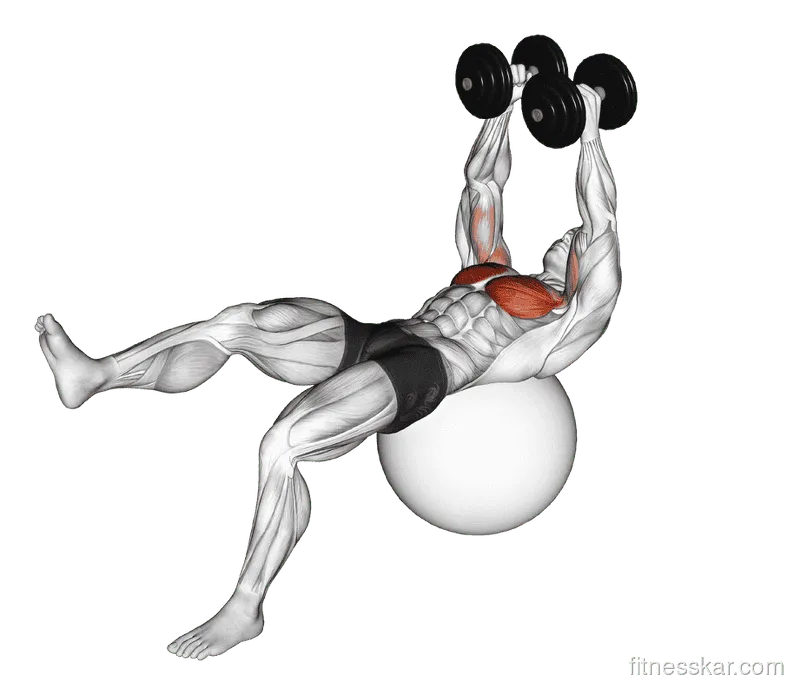 Dumbbell One-Leg Fly on Exercise Ball, Male demonstration, Start
