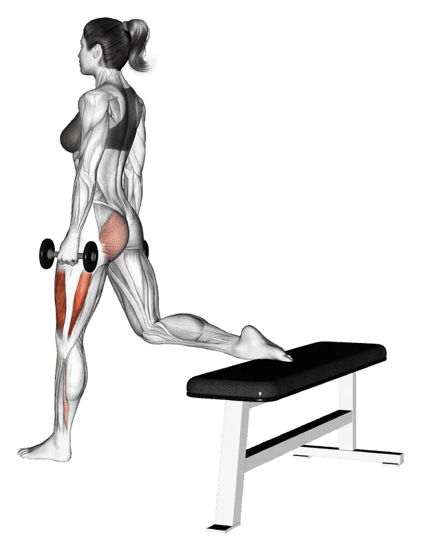 Dumbbell One-Leg Squat