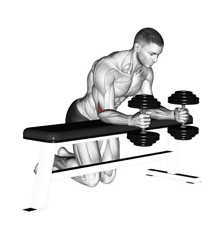 Dumbbell Over Bench Neutral Wrist Curl, Male demonstration, Start