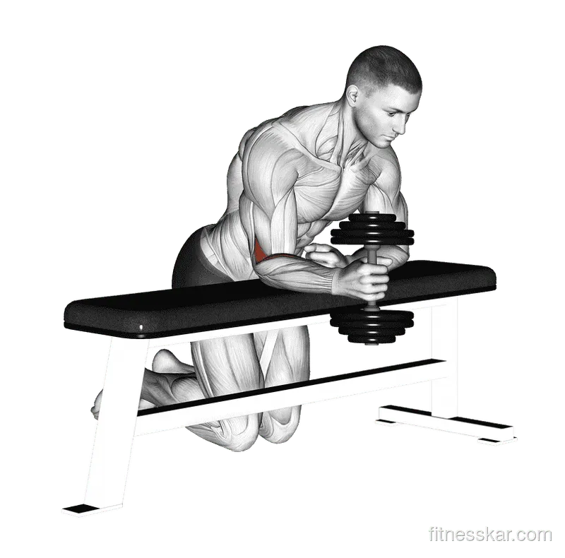 Dumbbell Over Bench One Arm Neutral Wrist Curl
