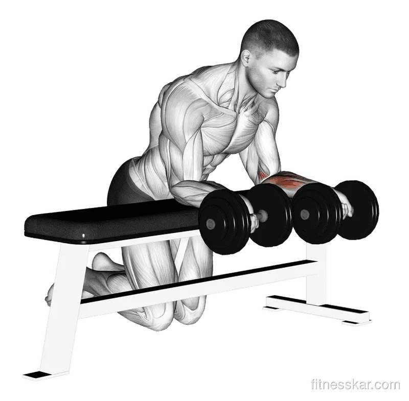 Dumbbell Over Bench Reverse Wrist Curl