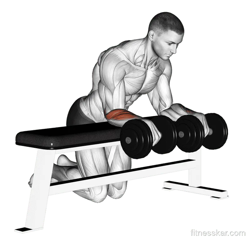 Dumbbell Over Bench Wrist Curl