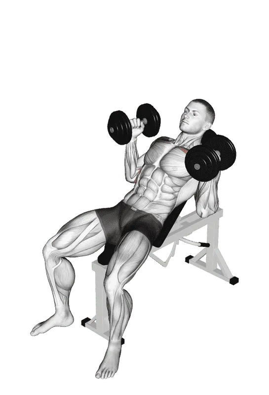 Dumbbell Palms-In Incline Bench Press