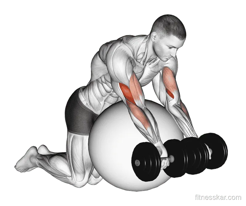 Dumbbell Preacher Curl over Exercise Ball, Male demonstration, Start