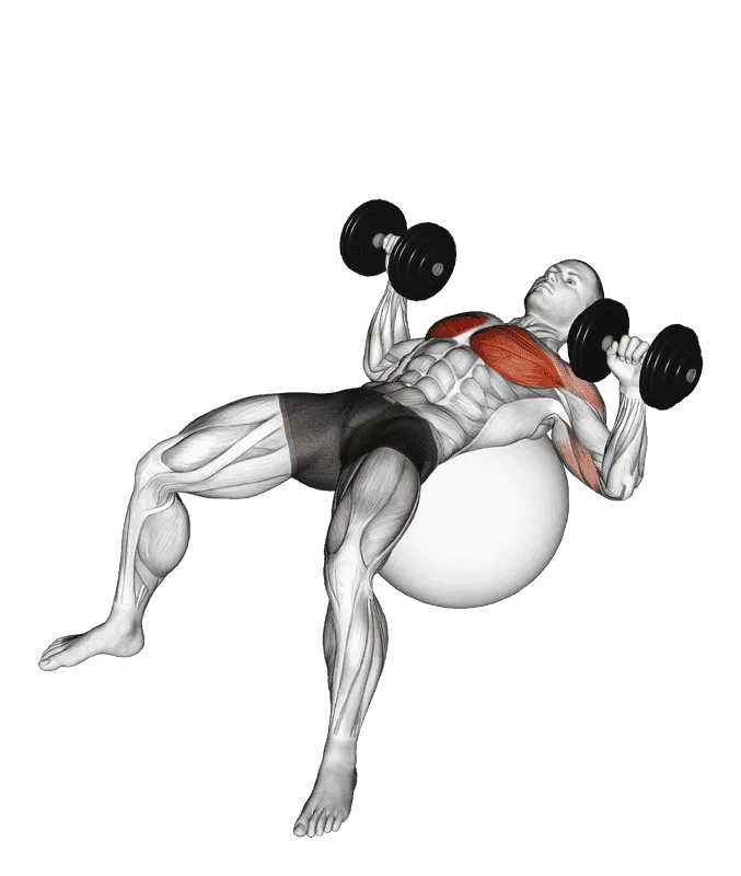 Dumbbell Press on Exercise Ball