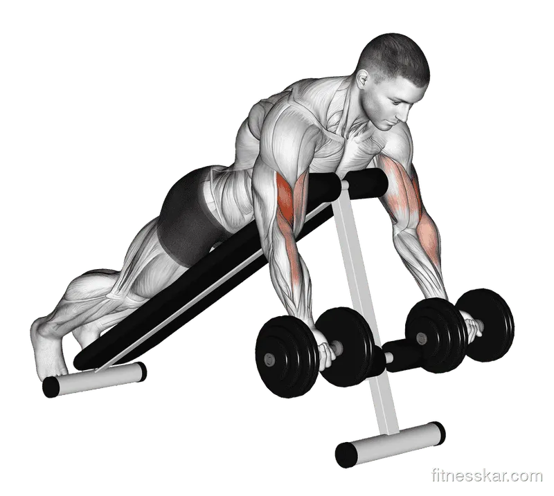 Dumbbell Prone Incline Curl