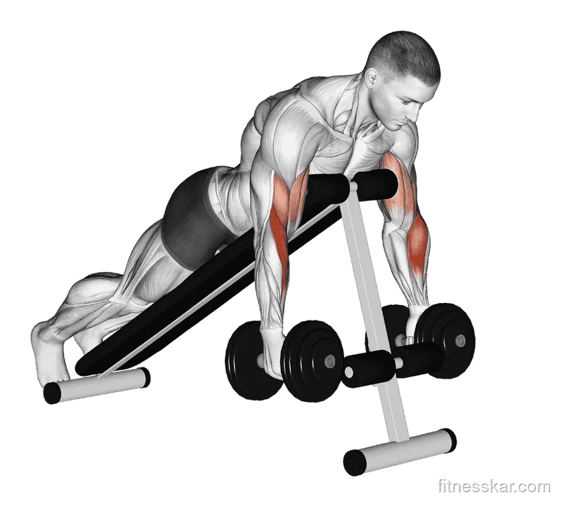Dumbbell Prone Incline Hammer Curl