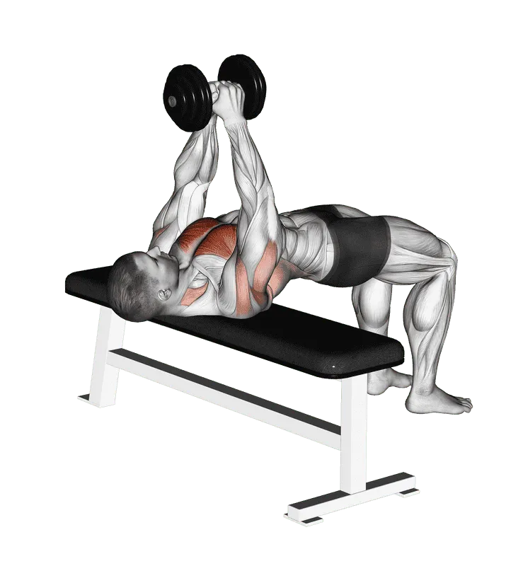 Dumbbell Pullover, Male demonstration, Start