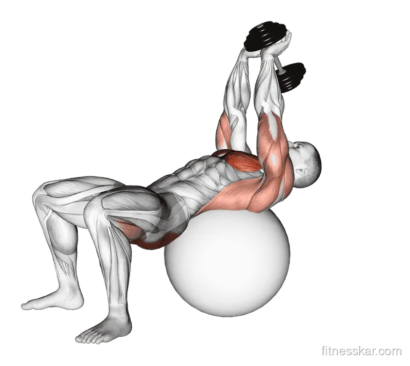 Dumbbell Pullover with Hip Extension on Exercise Ball