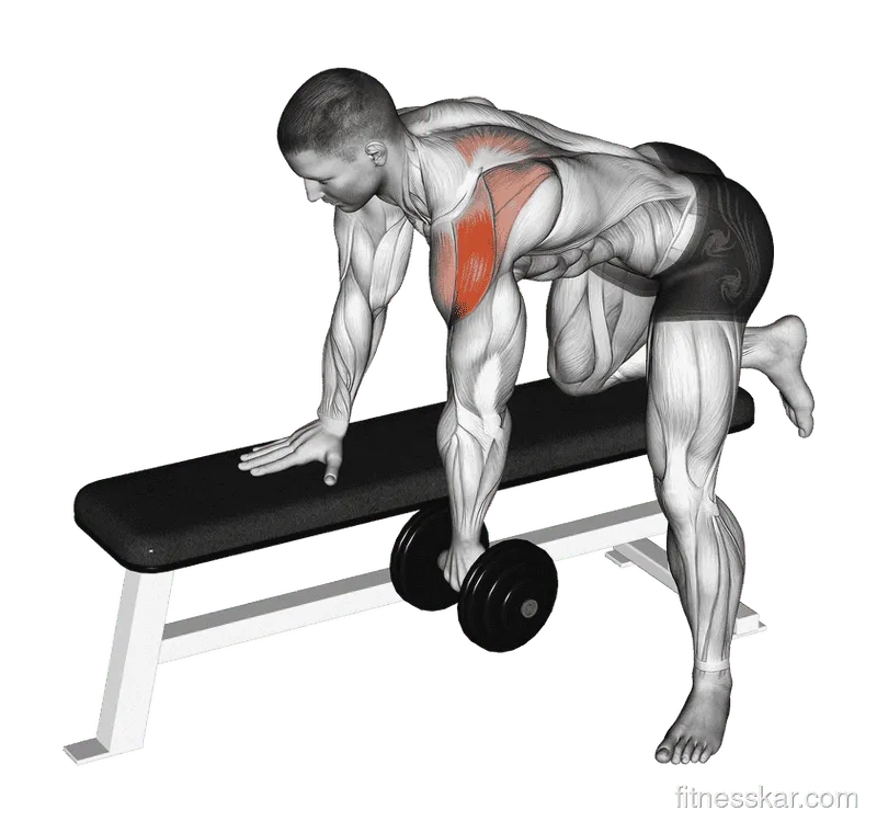Dumbbell Rear Delt Row