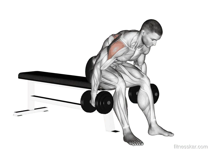 Dumbbell Rear Fly