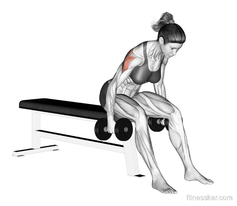 Dumbbell Rear Fly, Female demonstration, Start