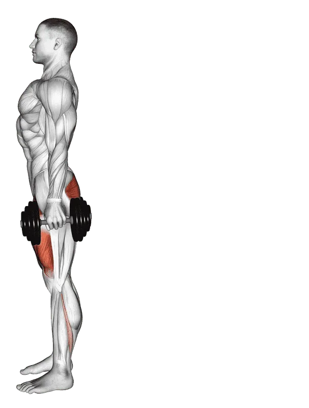 Dumbbell Rear Lunge