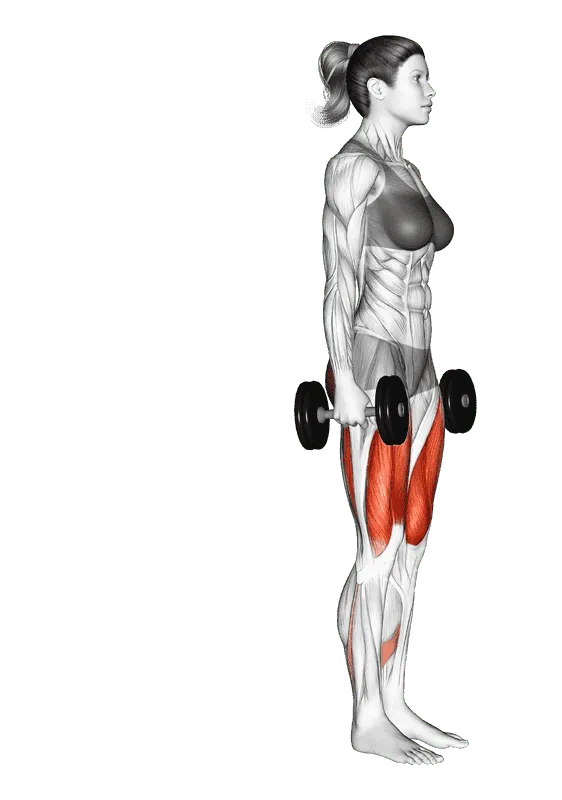 Dumbbell Rear Lunge, Female demonstration, Start