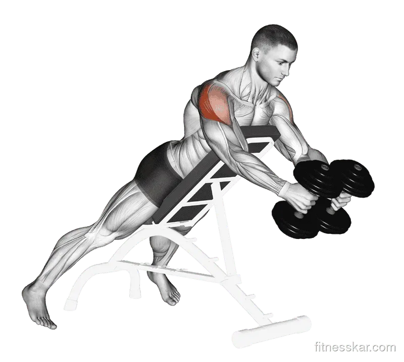 Dumbbell Reverse Fly